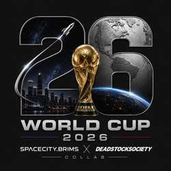 Spacecitybrims
